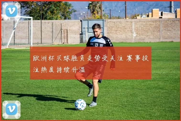 欧洲杯买球胜负走势受关注 赛事投注热度持续升温