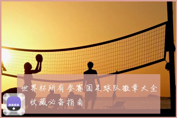 世界杯所有参赛国足球队徽章大全：收藏必备指南