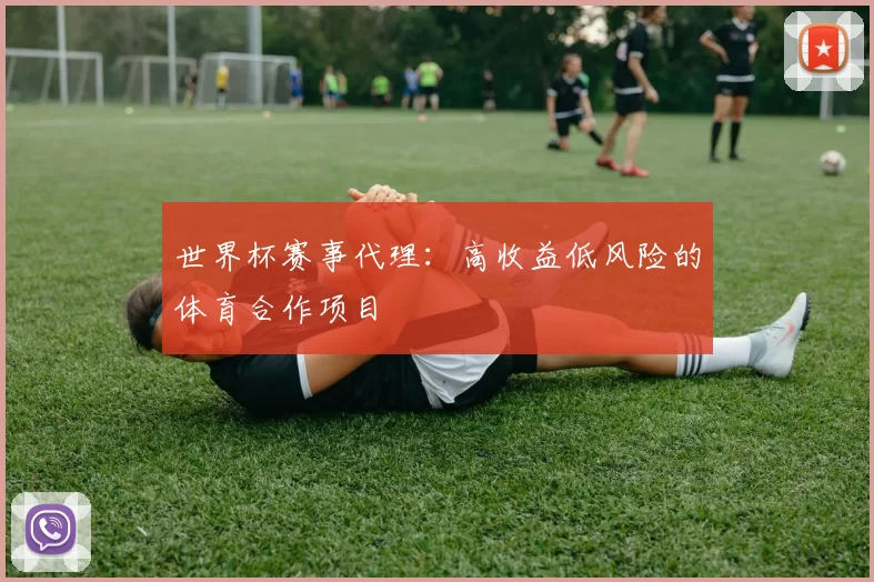 世界杯赛事代理：高收益低风险的体育合作项目
