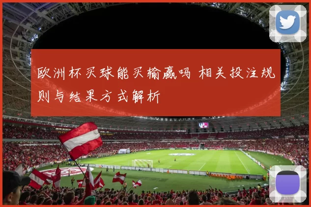 欧洲杯买球能买输赢吗 相关投注规则与结果方式解析