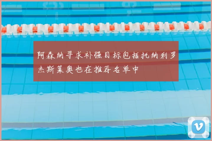 阿森纳寻求补强目标包括托纳利罗杰斯莱奥也在推荐名单中