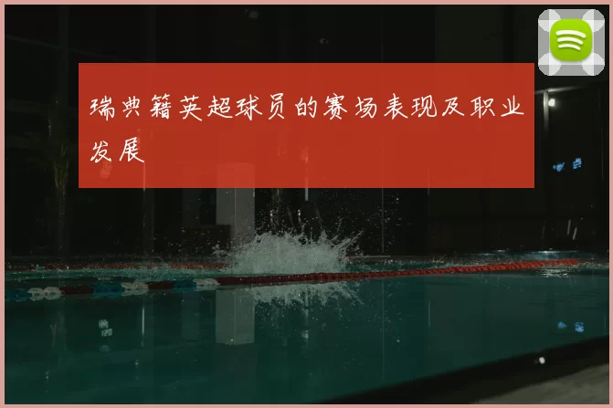 瑞典籍英超球员的赛场表现及职业发展