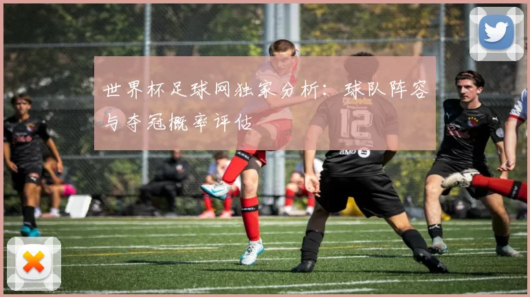 世界杯足球网独家分析：球队阵容与夺冠概率评估