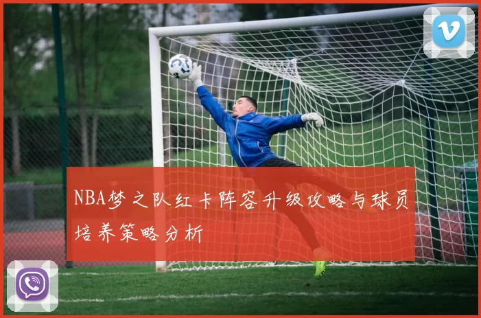 NBA梦之队红卡阵容升级攻略与球员培养策略分析