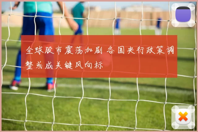 全球股市震荡加剧 各国央行政策调整或成关键风向标