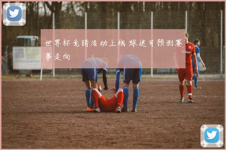 世界杯竞猜活动上线 球迷可预测赛事走向