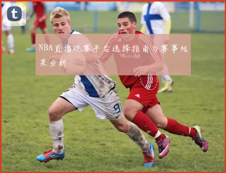 NBA直播观赛平台选择指南与赛事结果分析