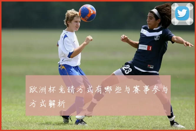 欧洲杯竞猜方式有哪些与赛事参与方式解析