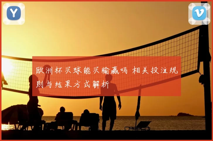 欧洲杯买球能买输赢吗 相关投注规则与结果方式解析
