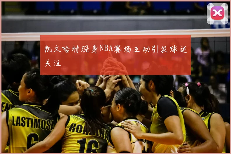 凯文哈特现身NBA赛场互动引发球迷关注