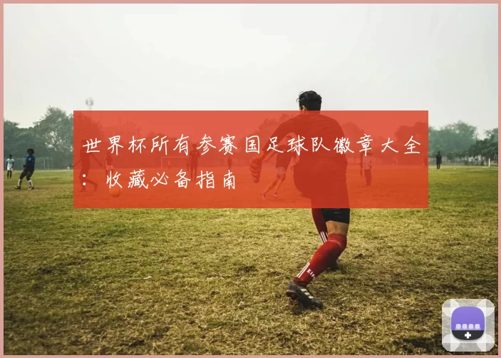 世界杯所有参赛国足球队徽章大全：收藏必备指南