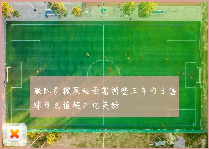 狼队引援策略亟需调整三年内出售球员总值超三亿英镑