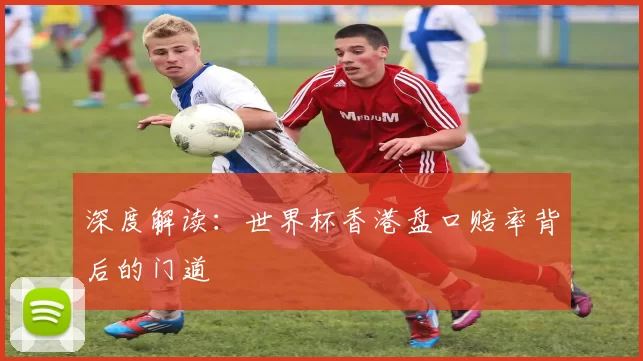 深度解读:世界杯香港盘口赔率背后的门道