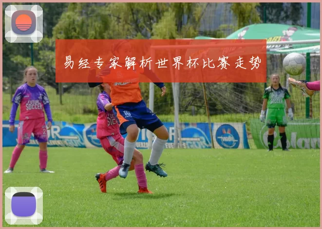 易经专家解析世界杯比赛走势