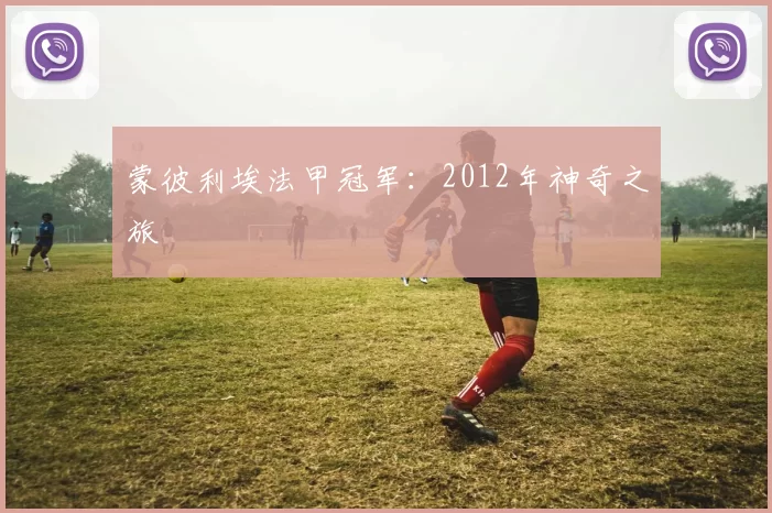 蒙彼利埃法甲冠军:2012年神奇之旅