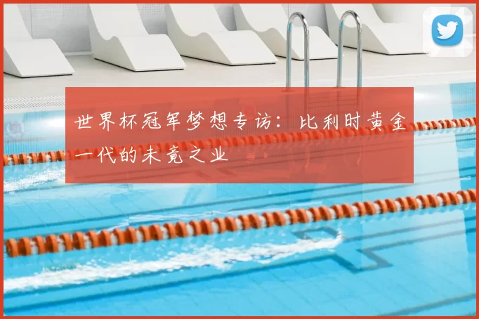 世界杯冠军梦想专访:比利时黄金一代的未竟之业