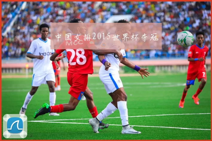 中国女排2015世界杯夺冠